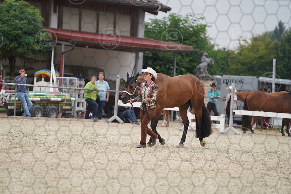 DSC03528.JPG